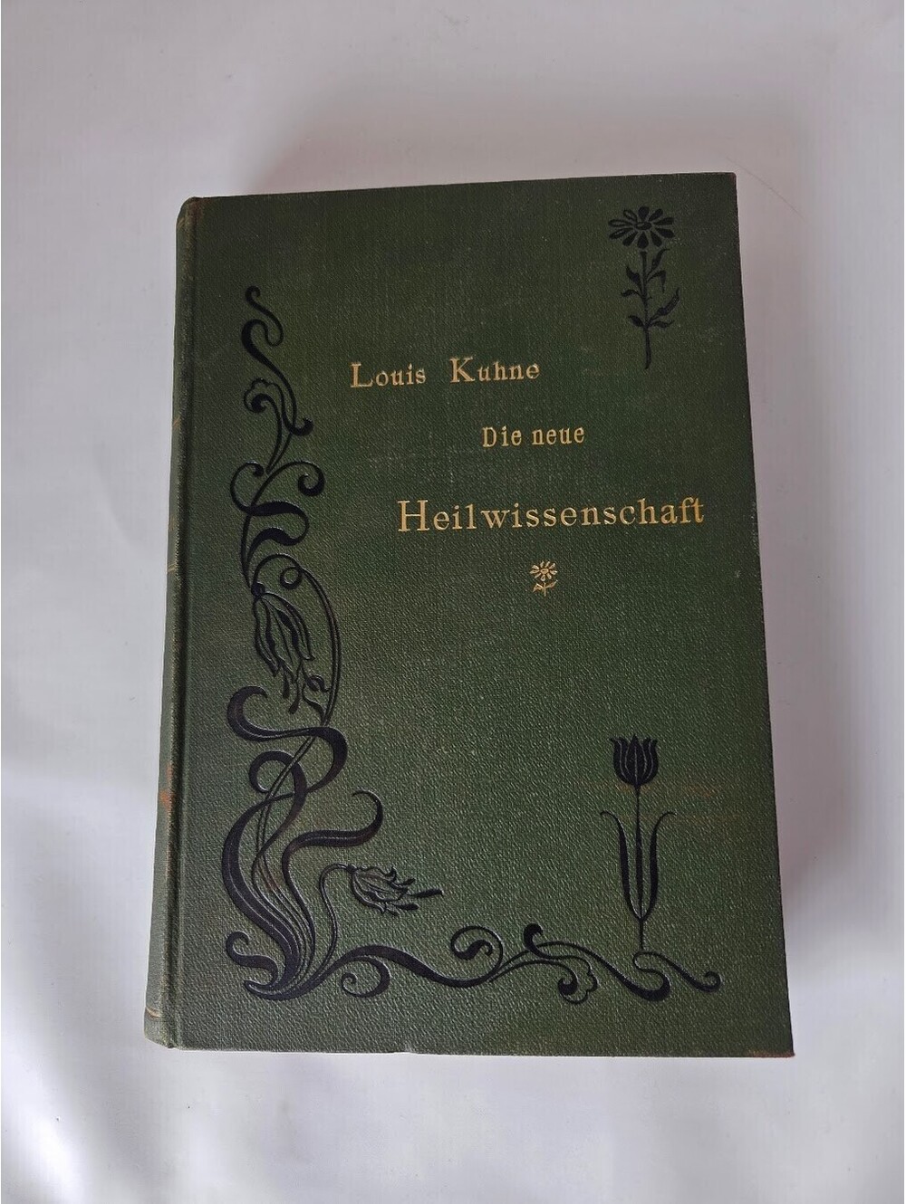 Die Neue Heilwissenschaft 1904 Louis Kuhne Leipzig German Natural Healing Book